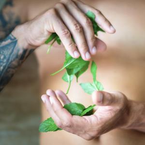  Duschgel 3 in 1 für Männer Energy of mint Flasche 500 ml