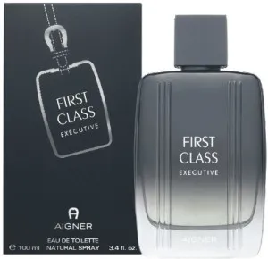 Aigner First Class Executive Eau de Toilette für Herren 100 ml