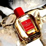 Ambassadora For Women Eau de Parfum für Damen 100 ml