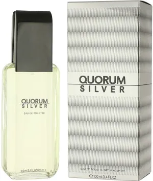 Antonio Puig Quorum Silver Eau de Toilette 100 ml für Herren