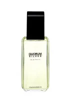 Quorum Silver Eau de Toilette 100 ml für Herren