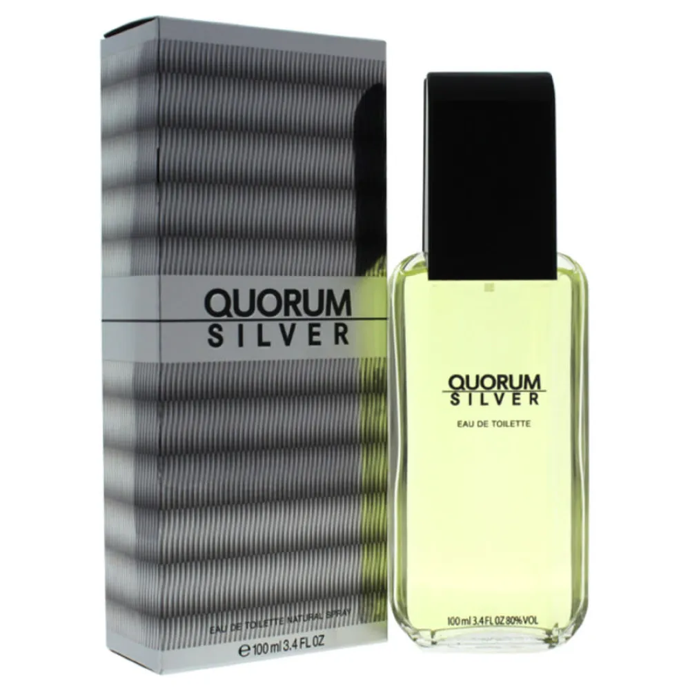 Quorum Silver Eau de Toilette 100 ml für Herren