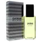 Quorum Silver Eau de Toilette 100 ml für Herren