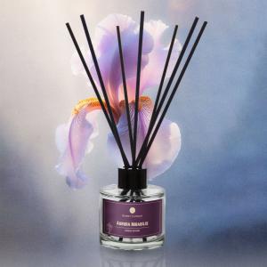 Aroma-Diffusor Aurora Mirabilis