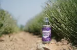 Purity Vision Bio-Lavendelwasser 100 ml