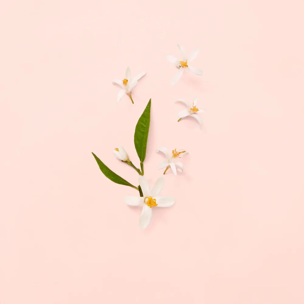 Bloom Eau de Toilette für Damen 100 ml