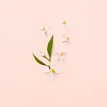 Bloom Eau de Toilette für Damen 100 ml