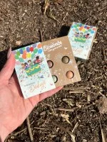 Blossombs Samenbomben - Mini-Geschenkset - Tausend Dank für alles (4 Stk.) - Schenken Sie Blumen mal anders