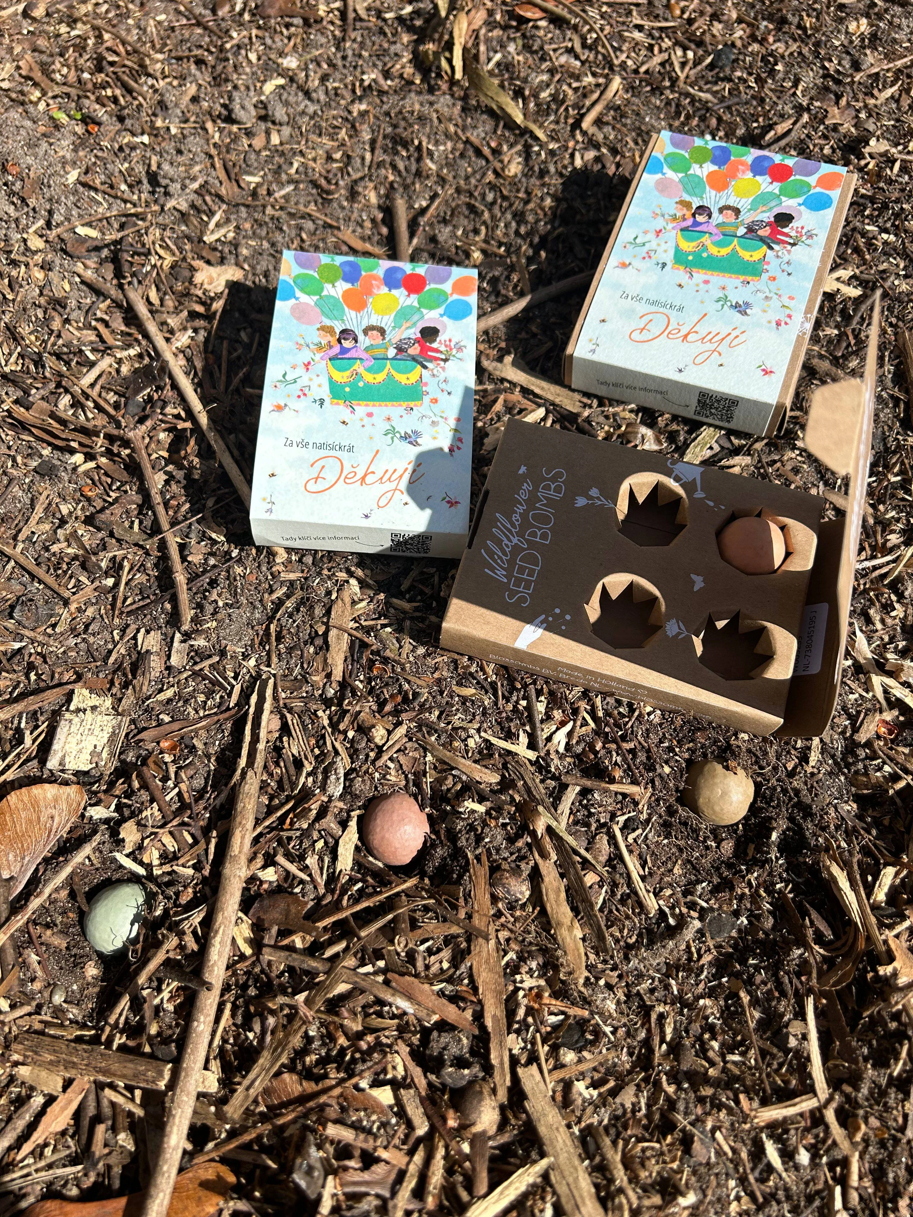 Blossombs Samenbomben - Mini-Geschenkset - Tausend Dank für alles (4 Stk.) - Schenken Sie Blumen mal anders