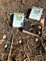 Blossombs Samenbomben - Mini-Geschenkset - Tausend Dank für alles (4 Stk.) - Schenken Sie Blumen mal anders