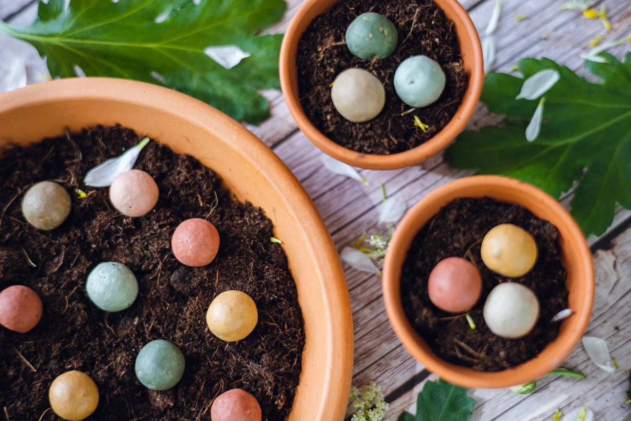 Blossombs Samenbomben - Mini-Geschenkset - Tausend Dank für alles (4 Stk.) - Schenken Sie Blumen mal anders