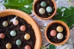 Blossombs Samenbomben - Mini-Geschenkset - Tausend Dank für alles (4 Stk.) - Schenken Sie Blumen mal anders