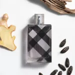 Brit For Men Eau de Toilette für Herren 100 ml