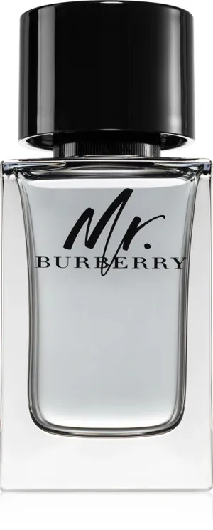 Burberry Mr. Burberry Eau de Toilette für Herren 100 ml