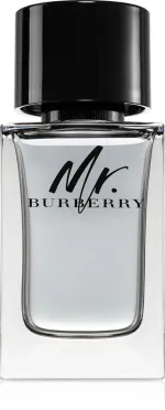 Mr. Burberry Eau de Toilette für Herren 100 ml