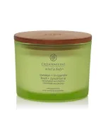 Awaken + Invigorate Duftkerze mit 3 Dochten 312 g