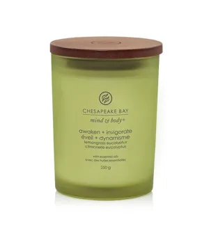 Chesapeake Bay Awaken + Invigorate Lemongrass Eucalyptus Duftkerze 250 g