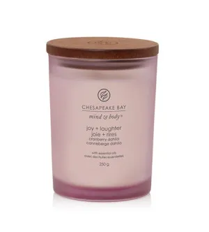 Chesapeake Bay Joy + Laughter Duftkerze 250 g