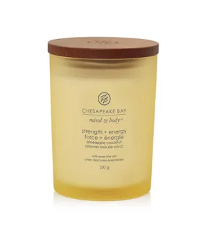 Chesapeake Bay Strength + Energy Duftkerze 250 g