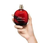 Set Dynamische Genüsse