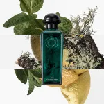Concentrée D'Orange Verte Eau de Toilette nachfüllbar Unisex 50 ml