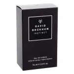 Instinct Eau de Toilette für Männer 75 ml