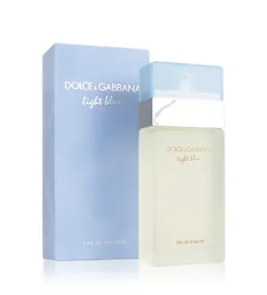Dolce & Gabbana Light Blue Eau de Toilette für Damen 100 ml