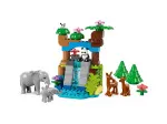 DUPLO® 10446 Familien wilder Tiere 3-in-1