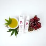 Eco Cosmetics Revital Gesichtsserum Vitamin C BIO (30 ml) - für anspruchsvolle Haut
