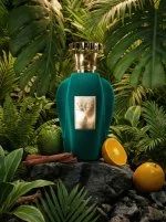 Voux Alma Verde Eau de Parfum Unisex 100 ml
