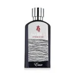 Atomise Intensive Men Eau de Parfum für Herren 100 ml