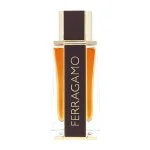 Spicy Leather Eau de Parfum für Herren 100 ml