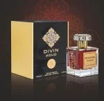 Divin Aoud U Eau de Parfum 100 ml