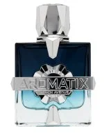 Aromatix Frostbite U Parfumextrakt 100 ml