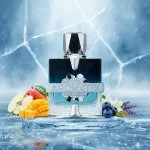 Aromatix Frostbite U Parfumextrakt 100 ml