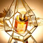 Ambassador For Women Eau de Parfum für Damen 50 ml