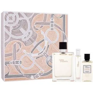 Hermès Terre D'Hermès EDT 100 ml + EDT 15 ml + SG für Körper und Haare 40 ml M