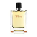 Terre d'Hermes Parfum Eau de Parfum für Männer 75 ml