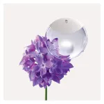 A Drop d'Issey Eau de Parfum 50 ml für Damen