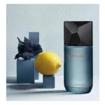 Fusion D'Issey Eau de Toilette 100 ml für Herren