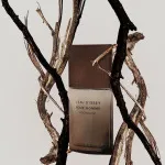 L'Eau d'Issey Pour Homme Wood&Wood Eau de Parfum für Männer 100 ml