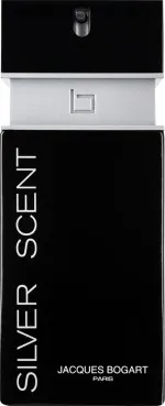 Silver Scent Eau de Toilette für Herren 100 ml