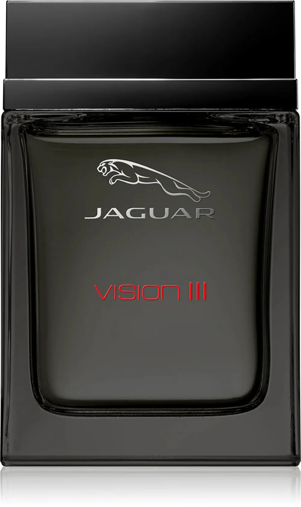 Vision III Eau de Toilette für Herren 100 ml