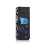 Mystery Eau de Parfum für Herren 100 ml