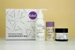 Kvitok Lavender Dream Geschenkpaket - Dusche, Deodorant und Körpercreme