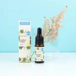 Kvitok Skin Serum - Plant Collagen (10 ml) - glättet und verbessert die Elastizität