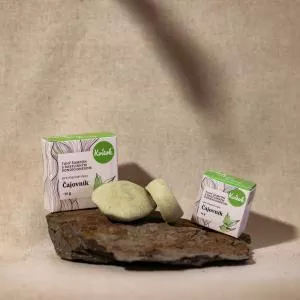 Kvitok Steifes Shampoo mit Conditioner für fettiges Haar Teebaum XXL (50 g) - mit pflanzlichem Keratin