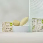 Kvitok Festes Shampoo mit Anti-Schuppen-Spülung Moringa (25 g) - glänzendes, schuppenfreies Haar