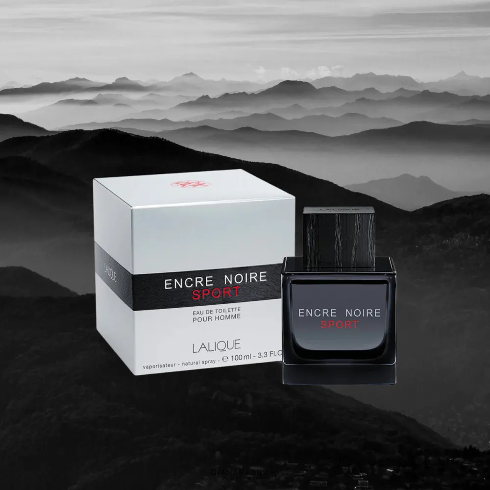 Encre Noire Sport Eau de Toilette für Herren 100 ml