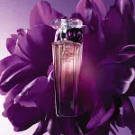 Trésor Midnight Rose Eau de Parfum für Damen 50 ml